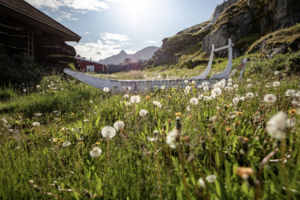 sisimiut old town